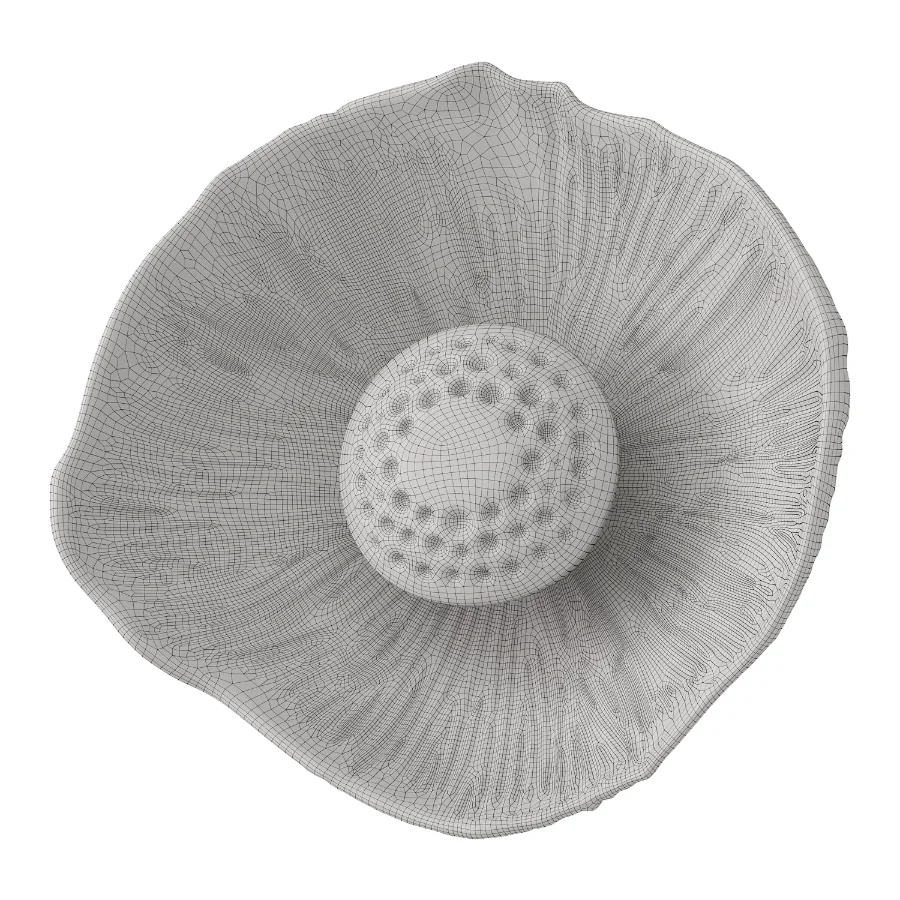 Blesslight sconce - Image 5