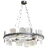 DIONIS Ring Chandeliers and Light Fixtures - Thumbnail 1