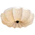 Floralis Ceiling Light - Thumbnail 5