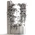 English Ivy 02 - Thumbnail 2