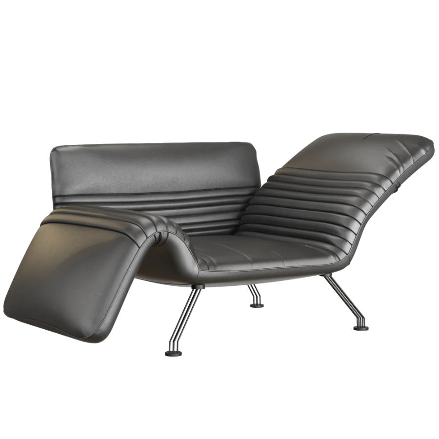 DS_142_Chaise_longue - Image 2