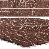 Carpet 04 - Thumbnail 5