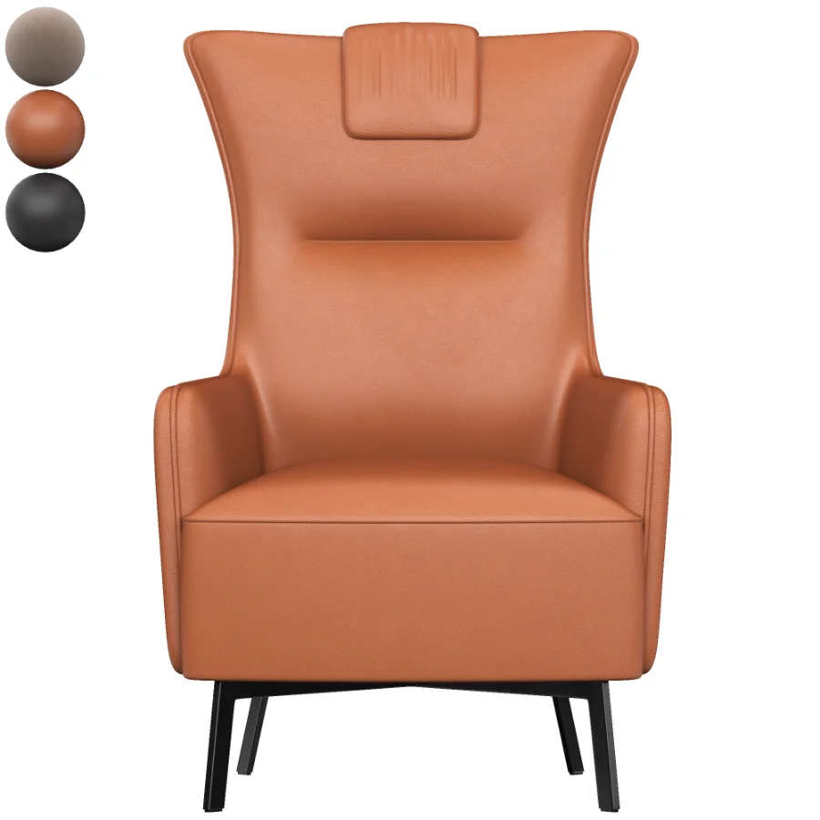 Genuine leather accent lou - Image 4