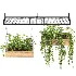 Hanging Plant 03 - Thumbnail 3