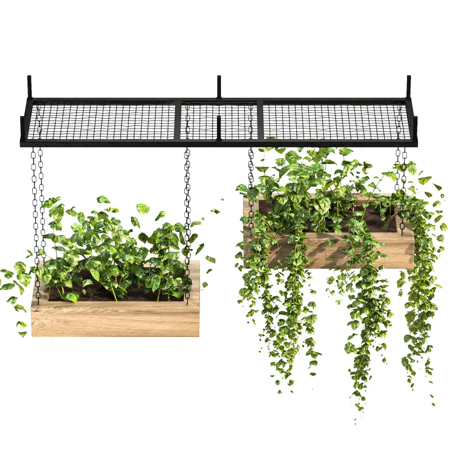 Hanging Plant 03 - Image 3