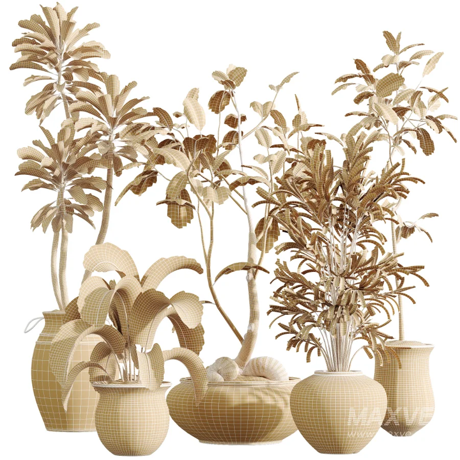 AV Indoor Plants Set 441 Areca Palm and Ficus Dracaena Marginata and Euphorbia Drupifera and Ravenala Banana - Image 10
