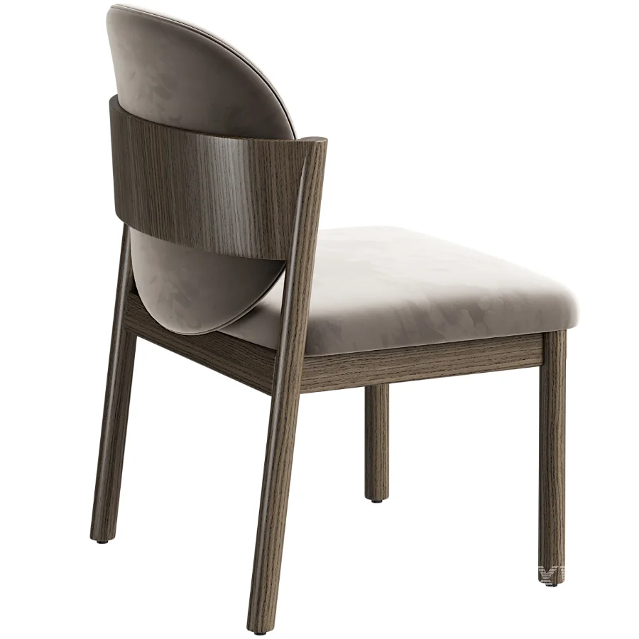 Caiton Dining Chair - Image 4