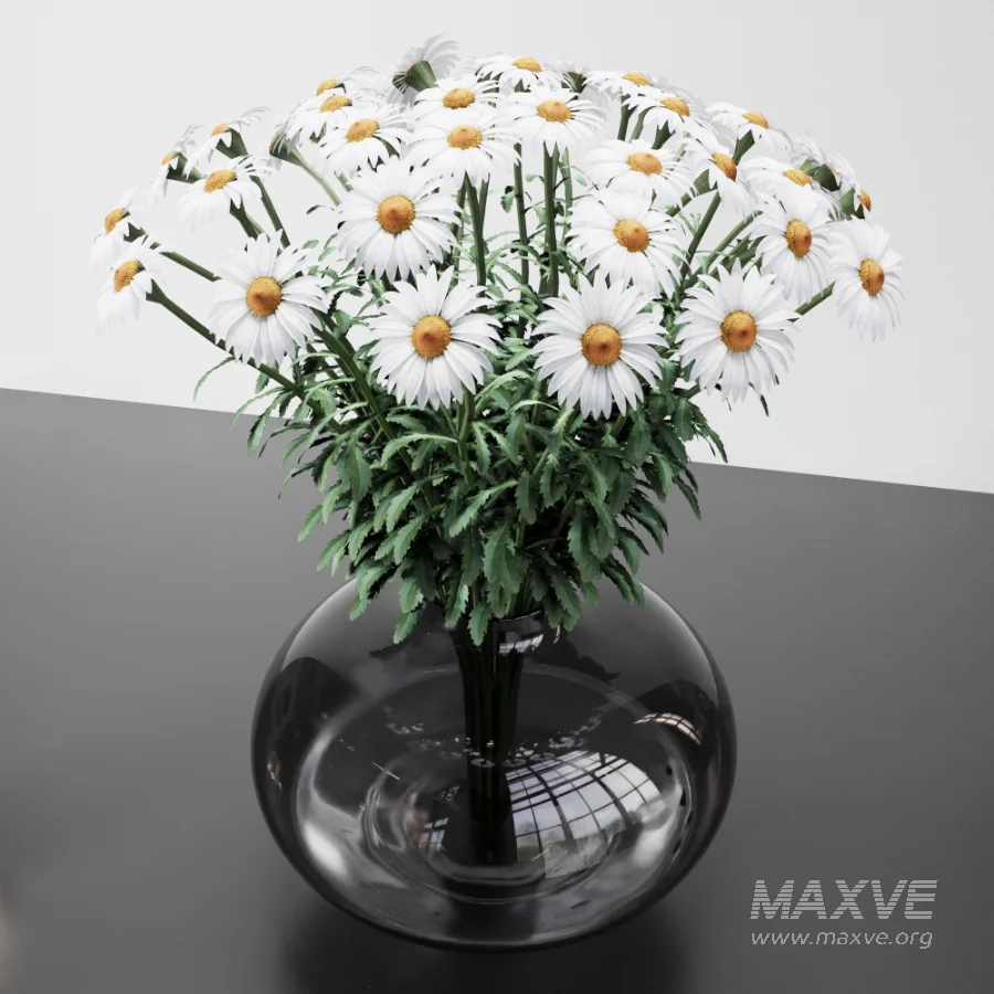 Decorative set 13 with flowers daisies - Image 4