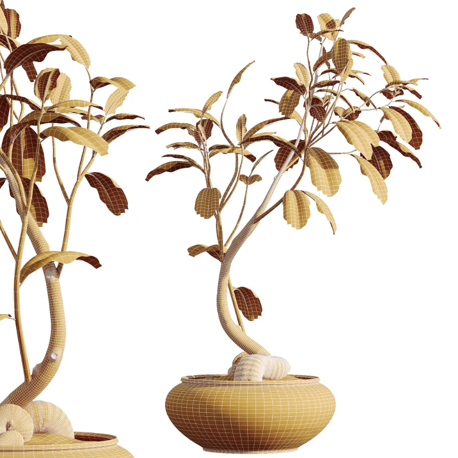 AV Indoor Plants Set 441 Areca Palm and Ficus Dracaena Marginata and Euphorbia Drupifera and Ravenala Banana - Image 8
