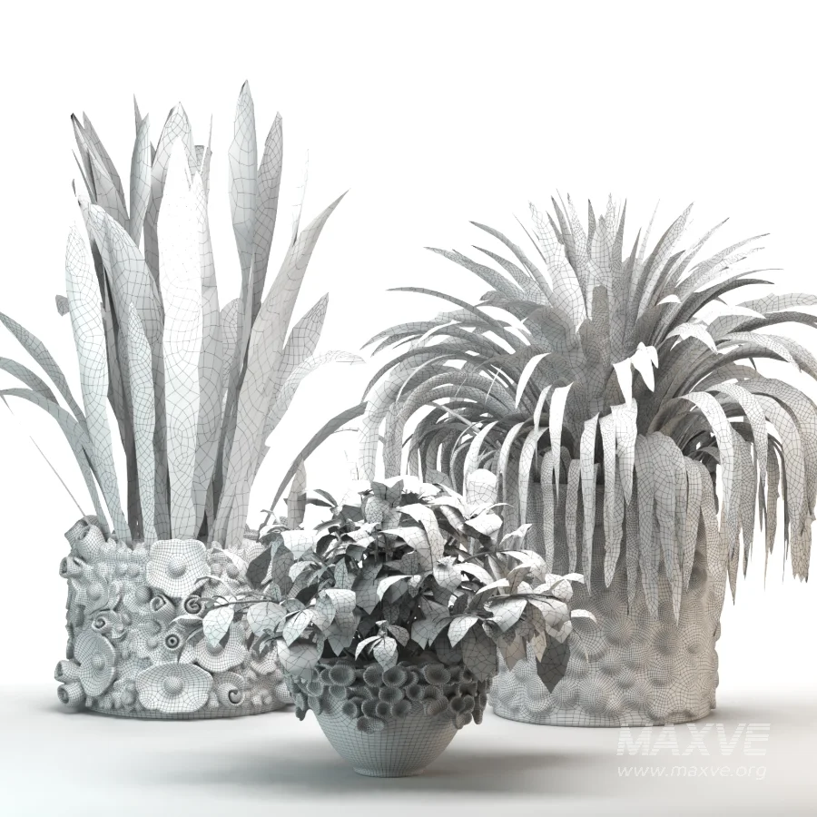 Concrete Pot Plant Set 08 - Image 2