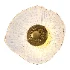 Blesslight sconce - Thumbnail 3
