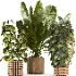 Boho Pot Plants 03 - Thumbnail 5