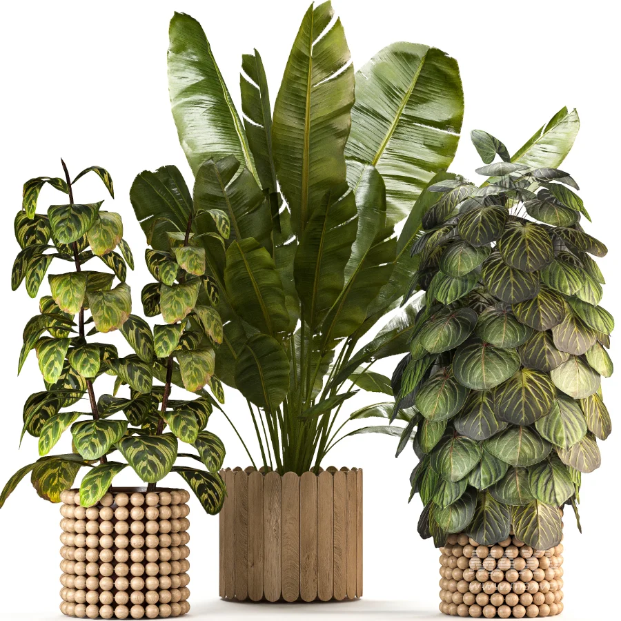 Boho Pot Plants 03 - Image 5