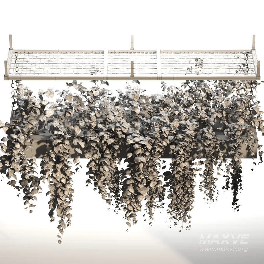 Hanging Plant 02 - Image 3