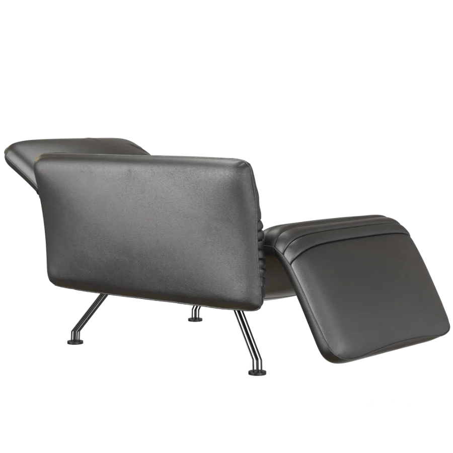 DS_142_Chaise_longue - Image 4