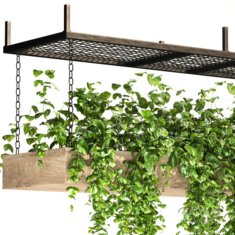 Hanging Plant 02 - Image 5