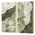 Wall Decor 19 Diorart - Thumbnail 3