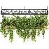 Hanging Plant 02 - Thumbnail 4