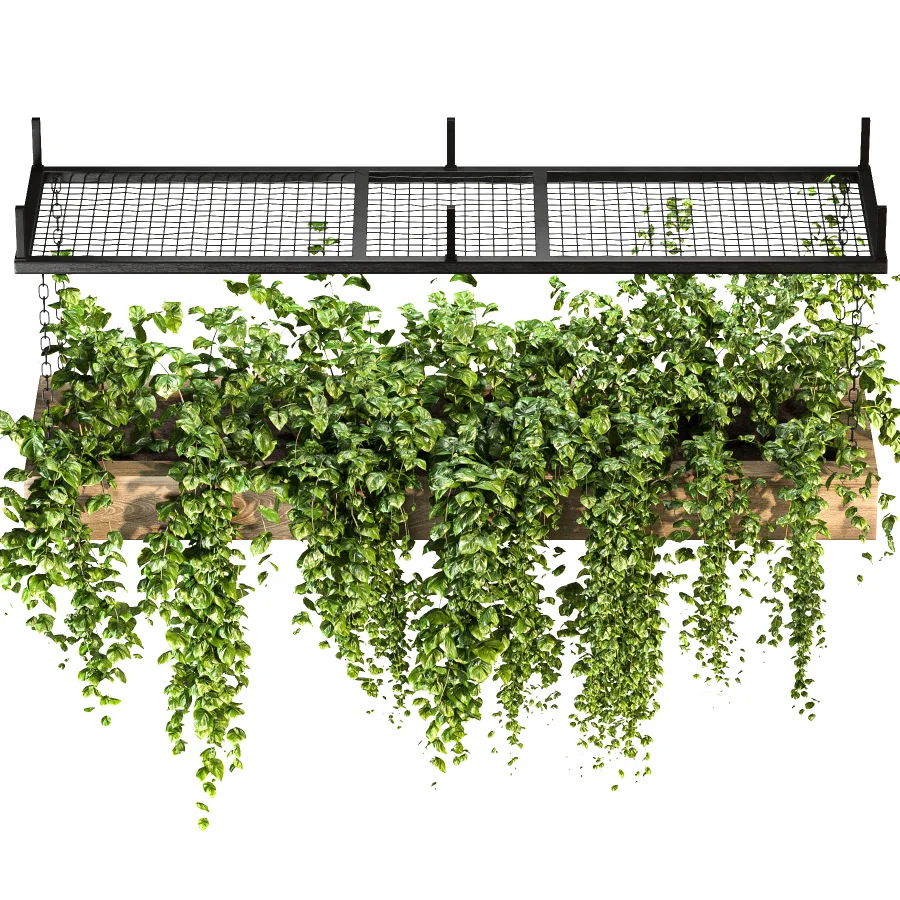 Hanging Plant 02 - Image 4