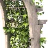 Wooden Garden Arbor 05 - Thumbnail 7