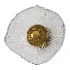 Blesslight sconce - Thumbnail 4