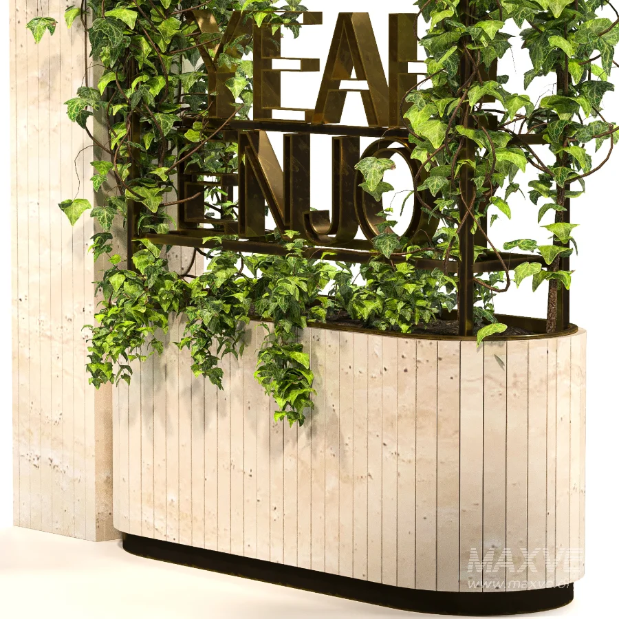 English Ivy 02 - Image 6