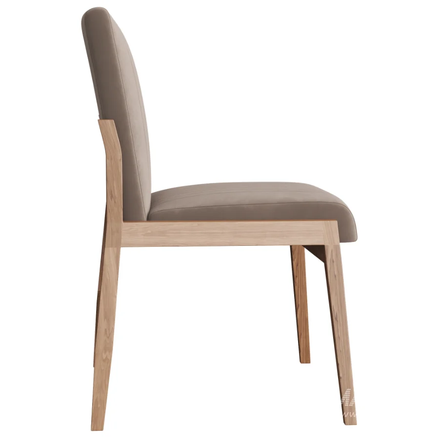 ALENA_DINING_CHAIR - Image 3