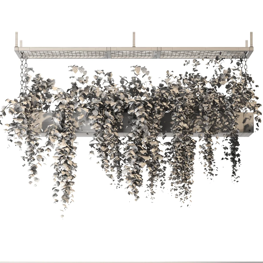 Hanging Plant 02 - Image 1