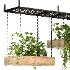 Hanging Plant 03 - Thumbnail 5