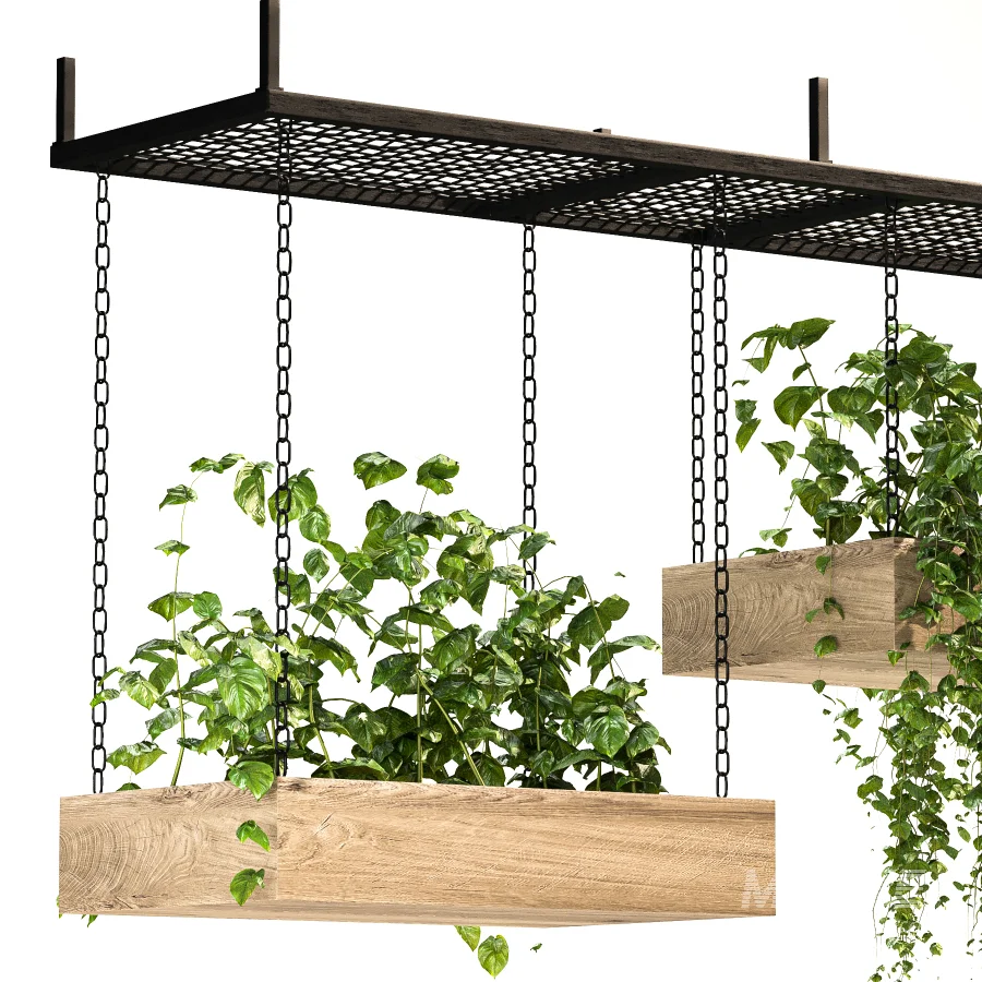 Hanging Plant 03 - Image 5