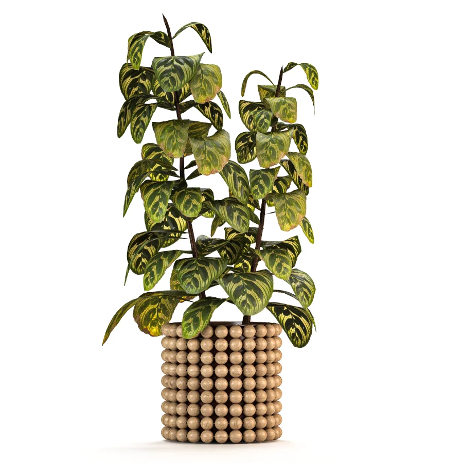 Boho Pot Plants 03 - Image 3