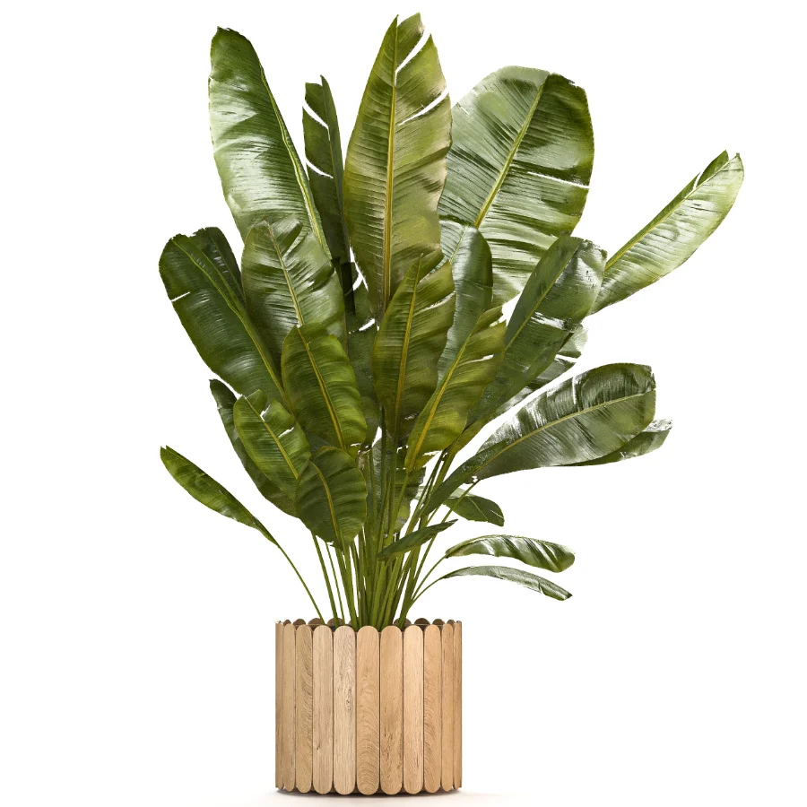 Boho Pot Plants 03 - Image 4