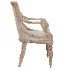 Alexander Floris Dining Arm Chair - Thumbnail 3