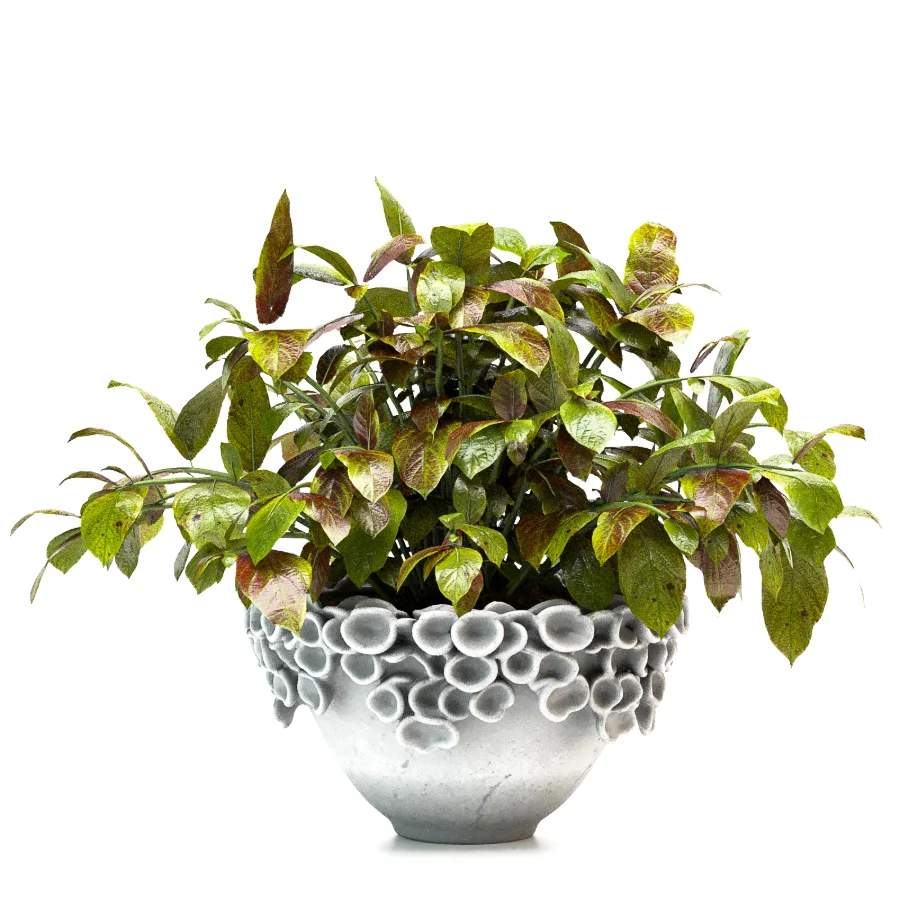Concrete Pot Plant Set 08 - Image 3