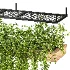 Hanging Plant 02 - Thumbnail 6