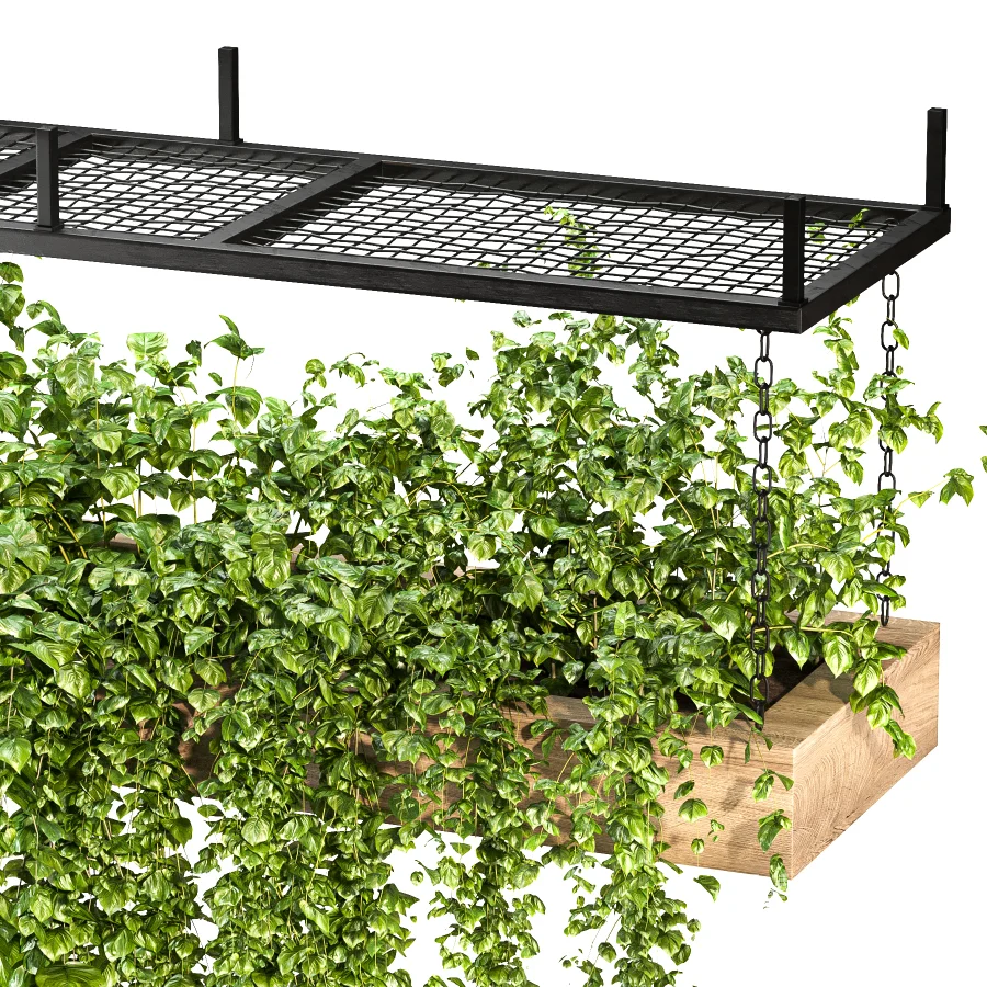 Hanging Plant 02 - Image 6