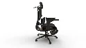 Home Office Desk Chair with Lumbar Support - Thumbnail 6