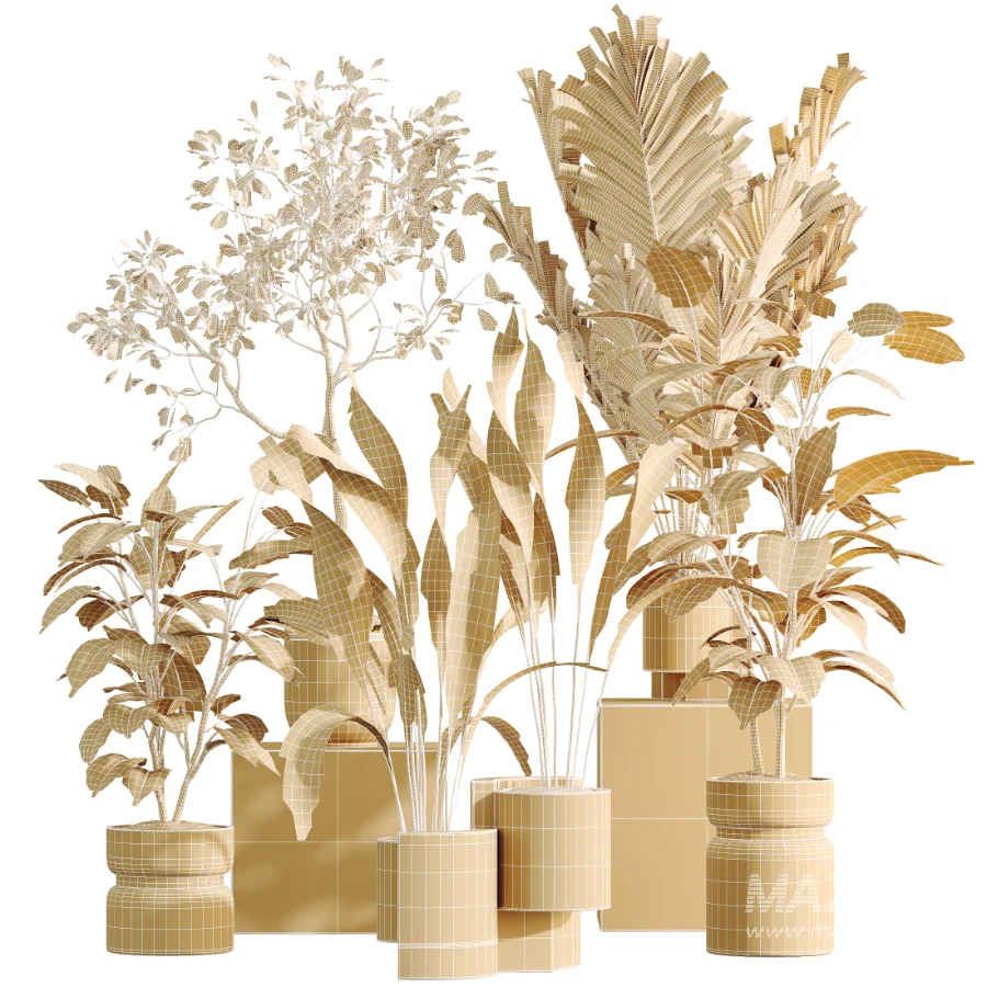 AV Indoor Plants Set 463 Ficus lyrata and Cyara Areca Palm and Aspidistra Elatio and Ficus Dracaena Marginata - Image 7