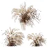 AV Carex Testacea Orange Sedge Grass Prairie Fire and Nassella Tenuissima fall - Thumbnail 3