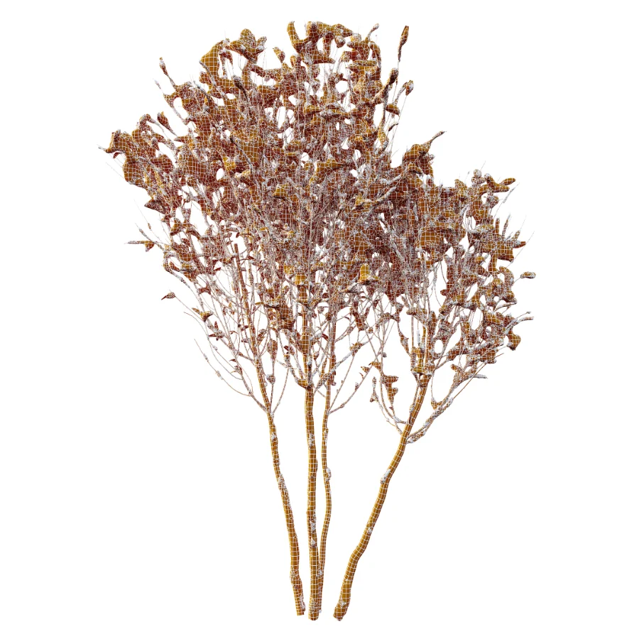 AV Winter Plant Snow Myrtle flower Winter and Snow Quihoui Privet - Image 9