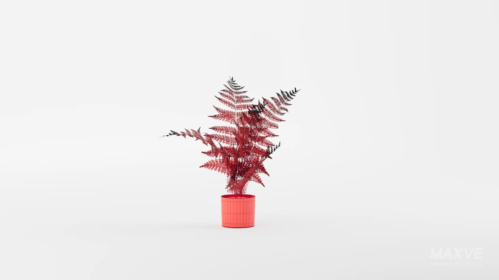 Faux Plants - Image 10