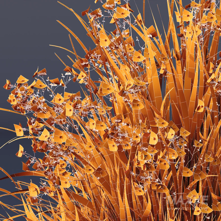 ntal grasses. These elegant groundcover species are valued for their refined texture, compact growth habit, and exceptional versatility in contemporary landscape architecture, Japanese gardens, urban parks, courtyards, and high-end residential projects. - Image 14