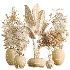 AV Indoor Plants Set 469 Rhapis Lady Palm and Chemlali Olive and Bird Of ParadiseBird and Ficus Elastica - Thumbnail 8