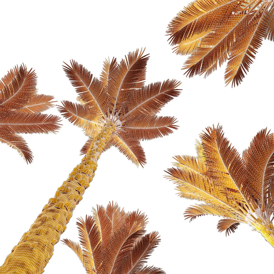 AV Phoenix Dactylifera Date Jurassic Palm Tree and Acer Saccharinum - Image 10