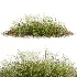 AV Stipa arundinacea Anemanthele lessoniana and Stipa arundinacea Sweet Grass - Thumbnail 3