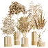 AV Indoor Plants Set 465 Coconut Palm and Cyara Areca Palm and Chemlali Olive Tree and Orange Calamondin Tree - Thumbnail 7