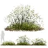 AV Stipa arundinacea Anemanthele lessoniana and Stipa arundinacea Sweet Grass - Thumbnail 2