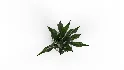 Artificial Snake Plant Plantin Planter - Thumbnail 8