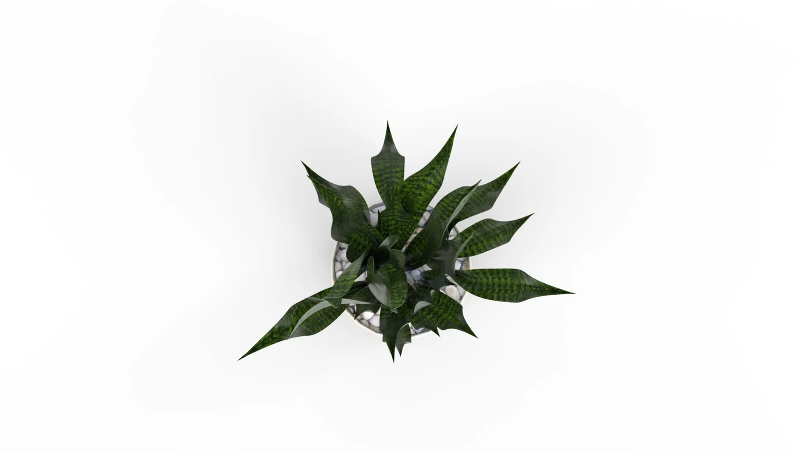Artificial Snake Plant Plantin Planter - Image 8