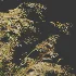 AV Celtica Gigantea Stipa Golden Oats and Carex Elata Aurea Grass - Thumbnail 2